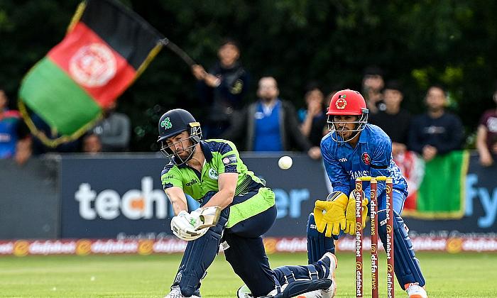 Ireland cancel home series against Afghanistan for 'monetary motives'