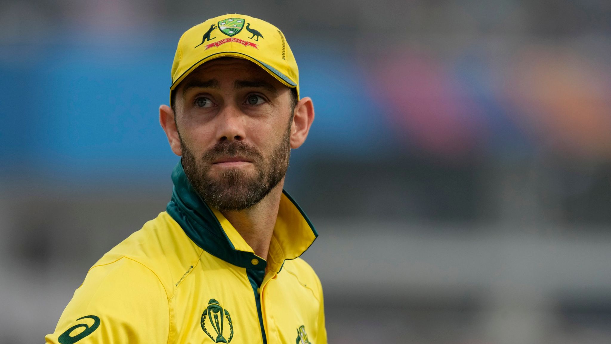 cricket news
