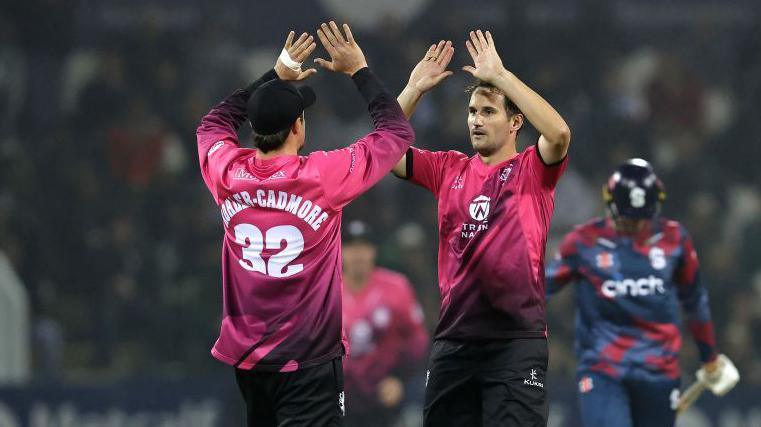 cricket news