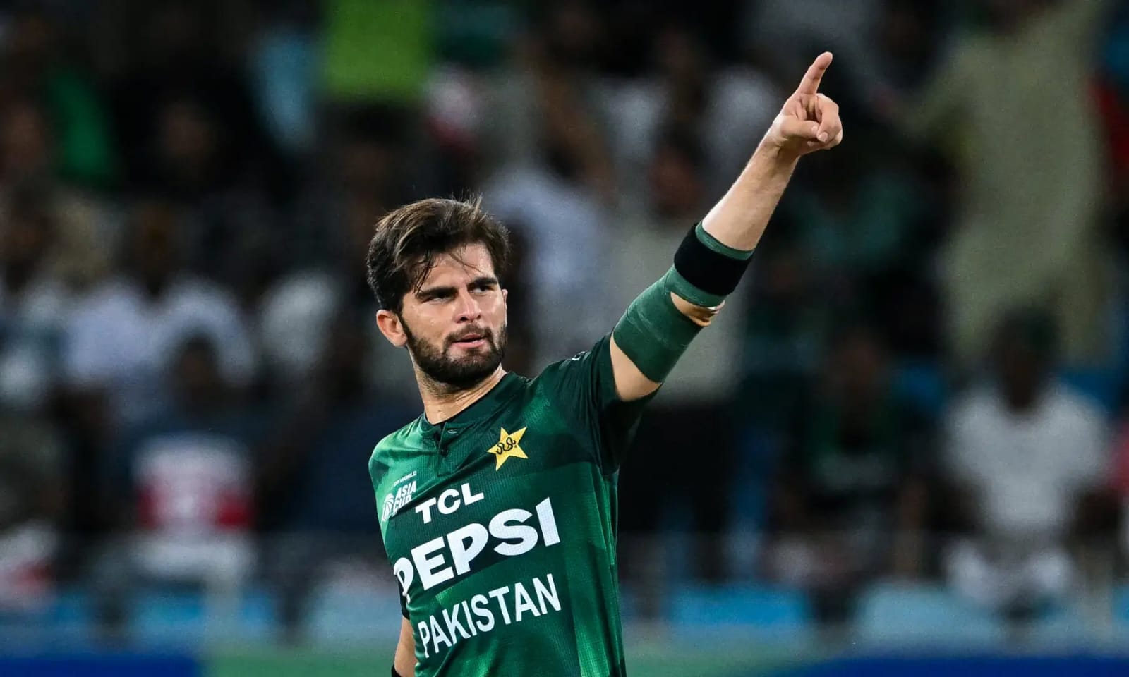 Cricket-mazza-11