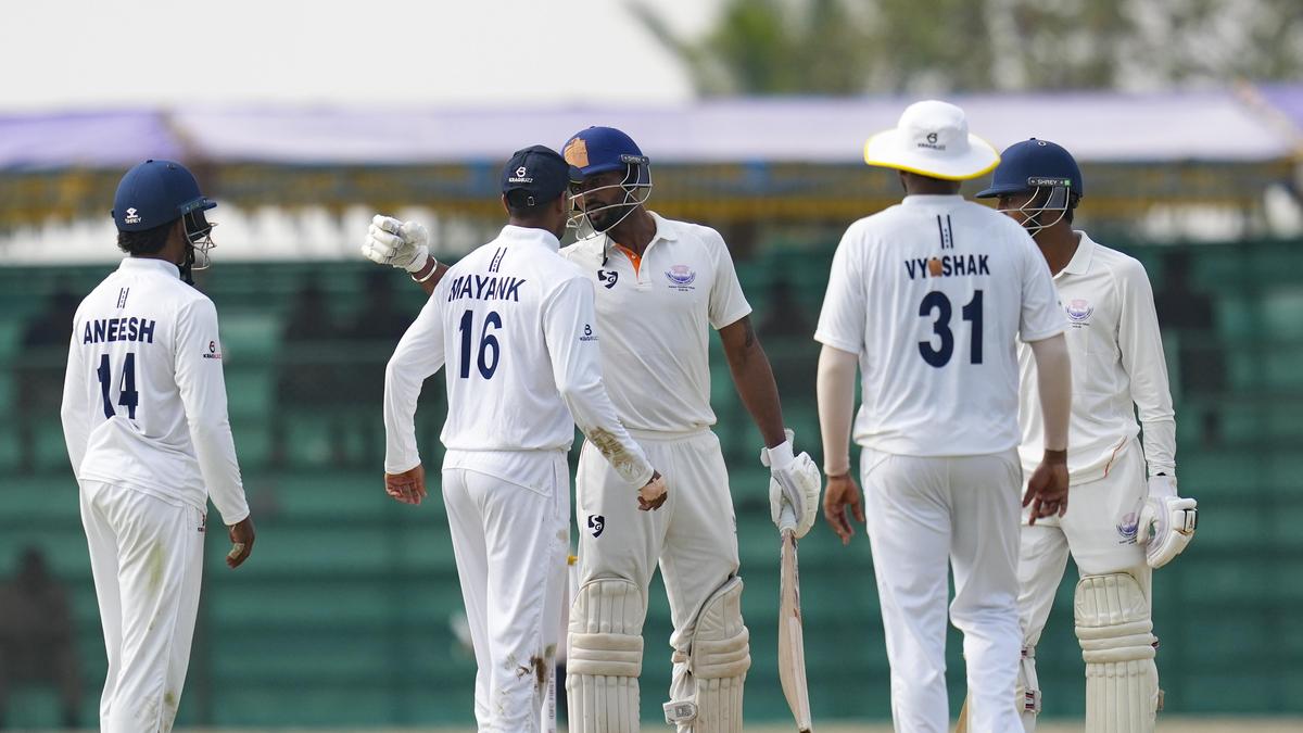 Cricket-mazza-11