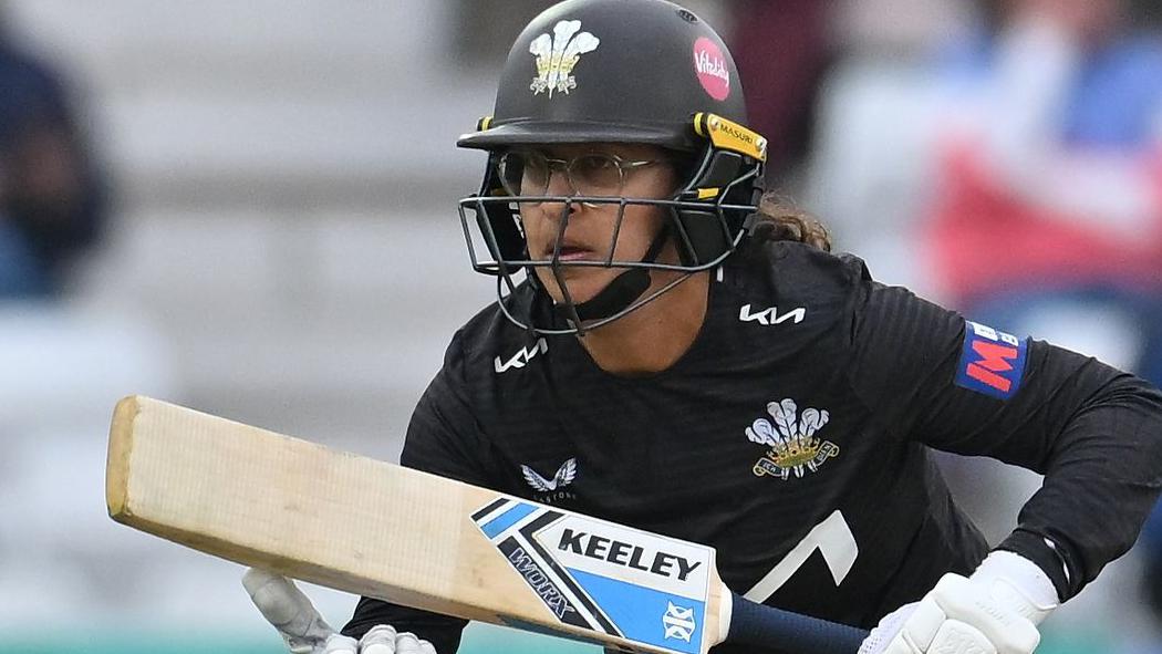 cricket news