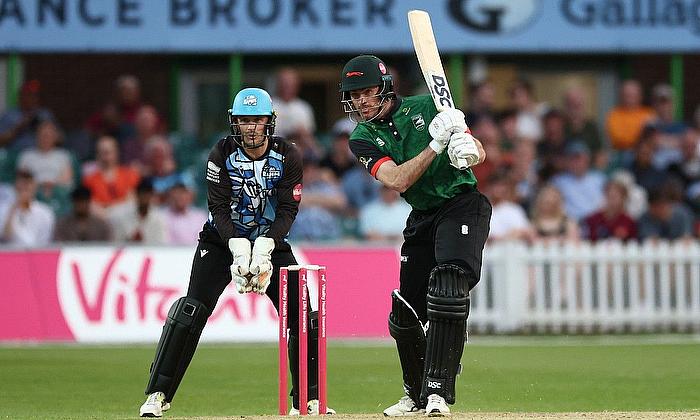 cricket news
