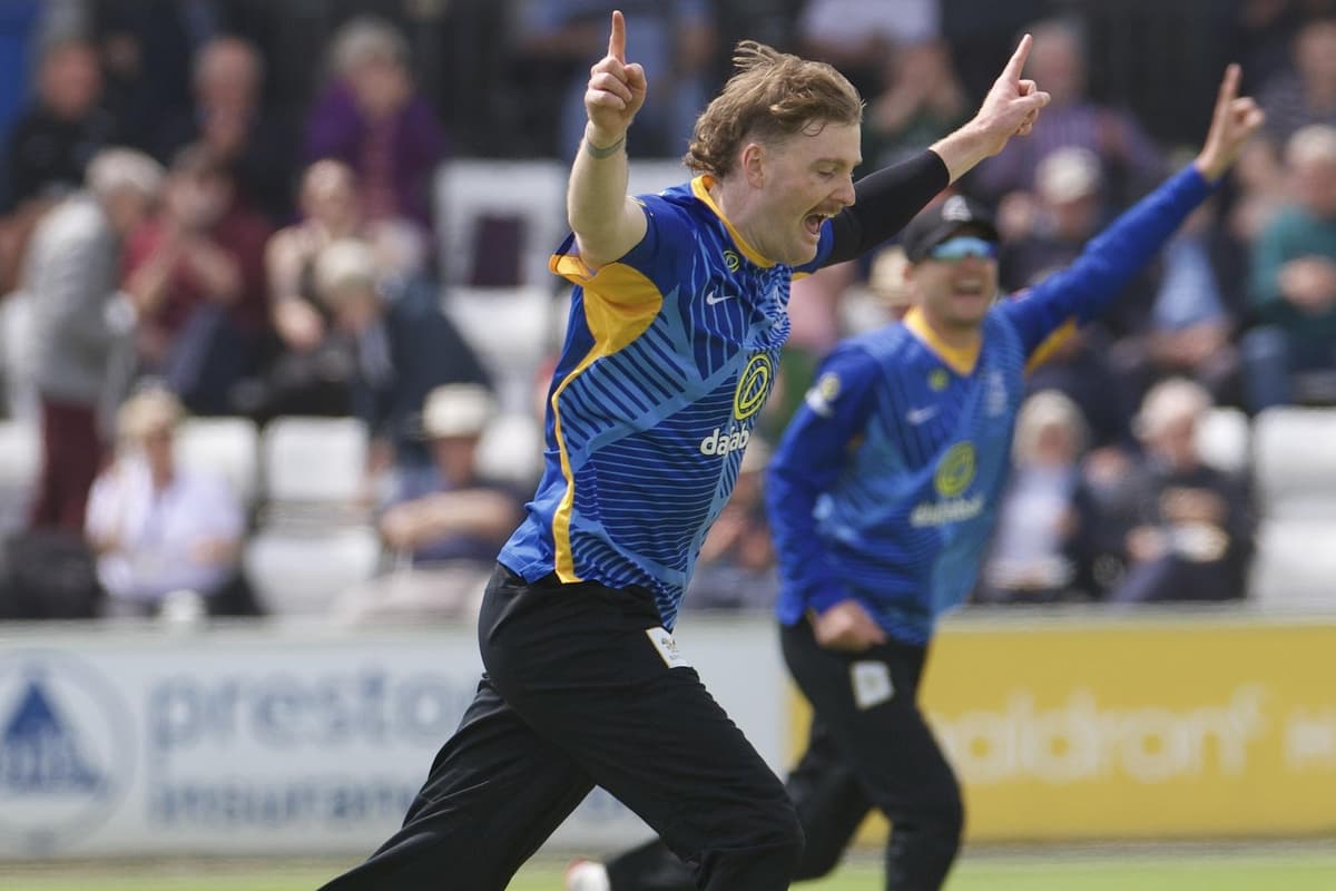 cricket news