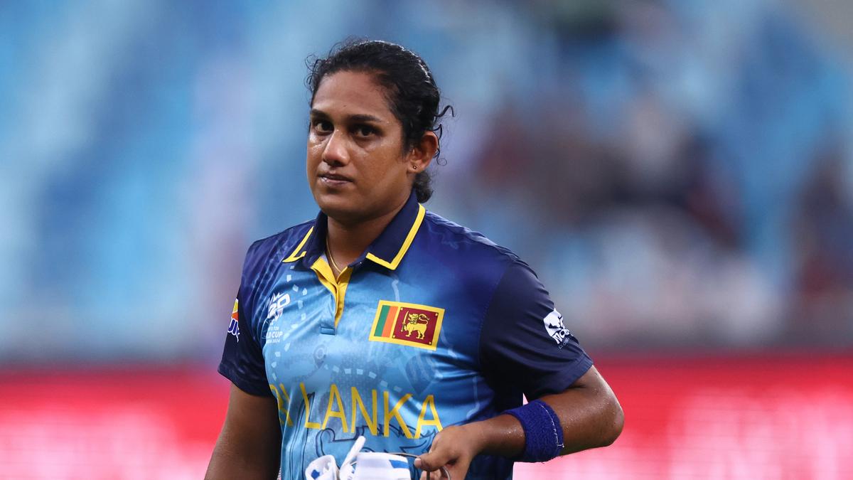 cricket news