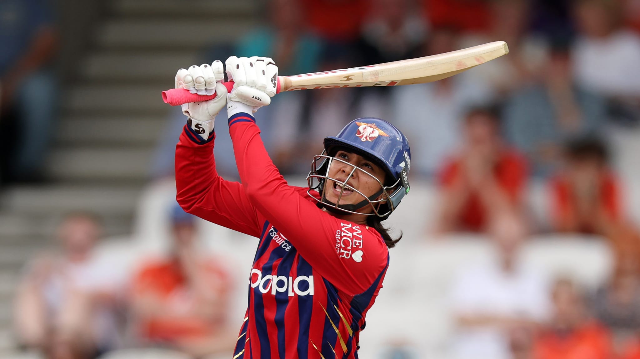 cricket news