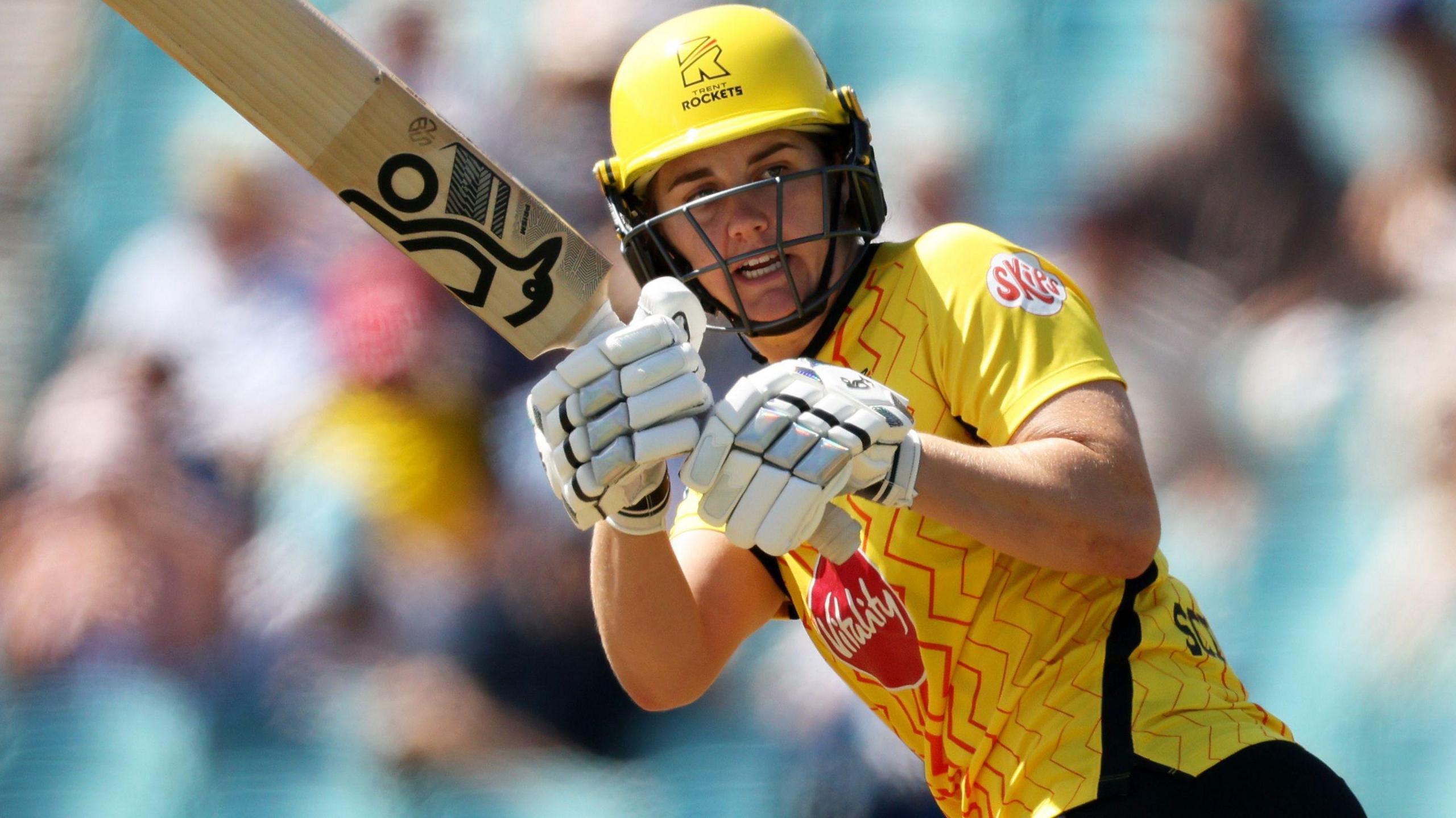 cricket news