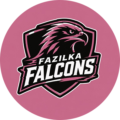 Fazilka Falcons