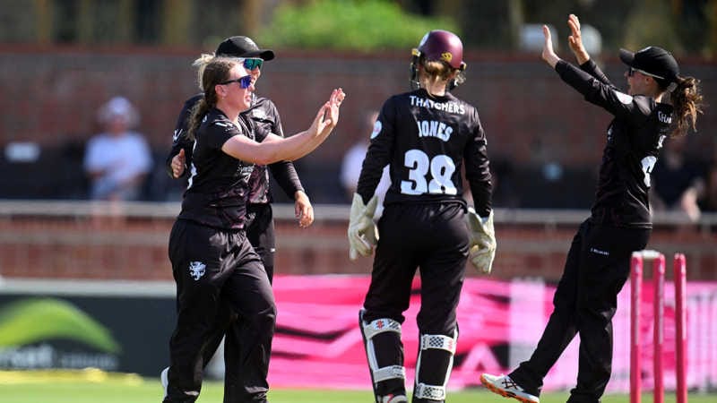 cricket news