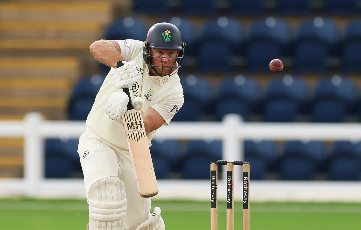 cricket news