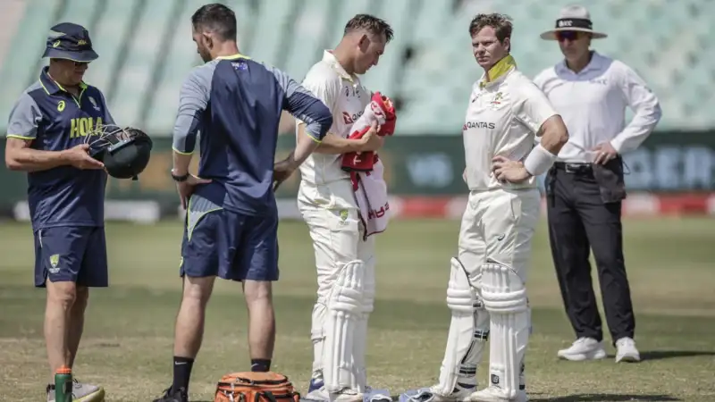 cricket news