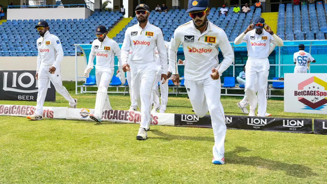 cricket news