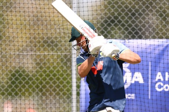 cricket news