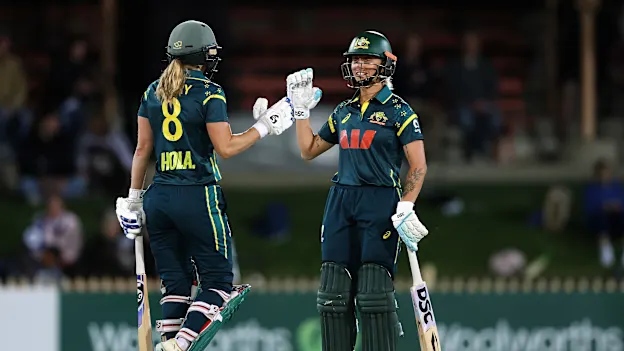 cricket news