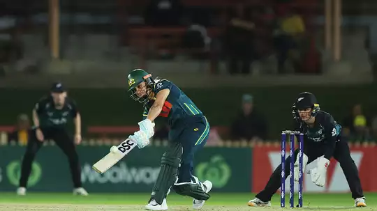 cricket news