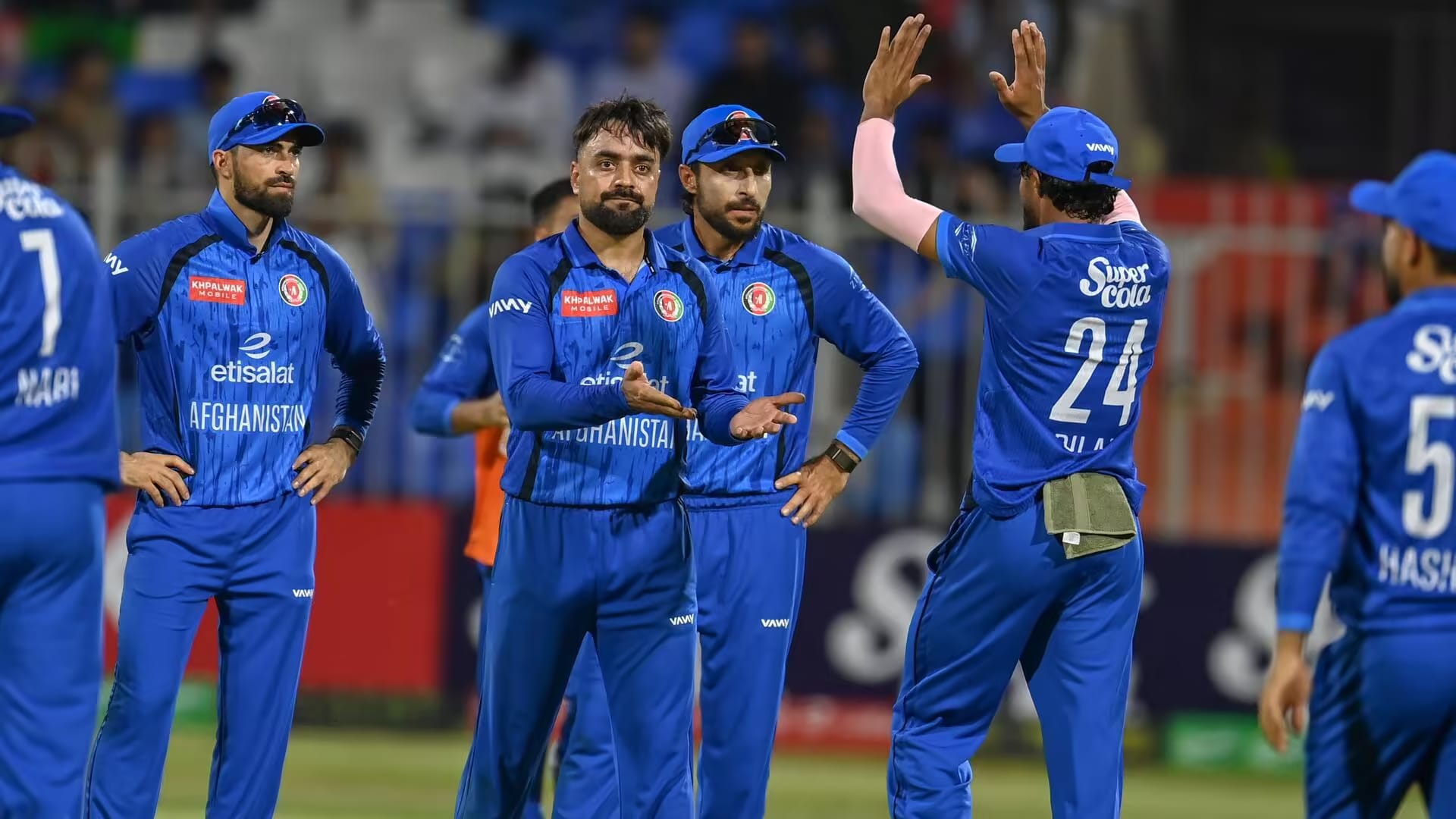 cricket news