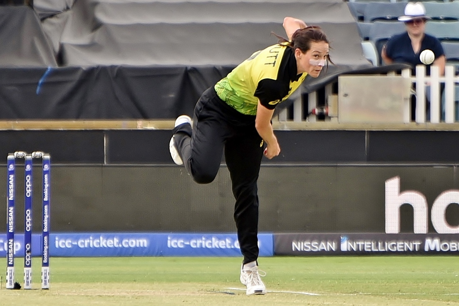 cricket news
