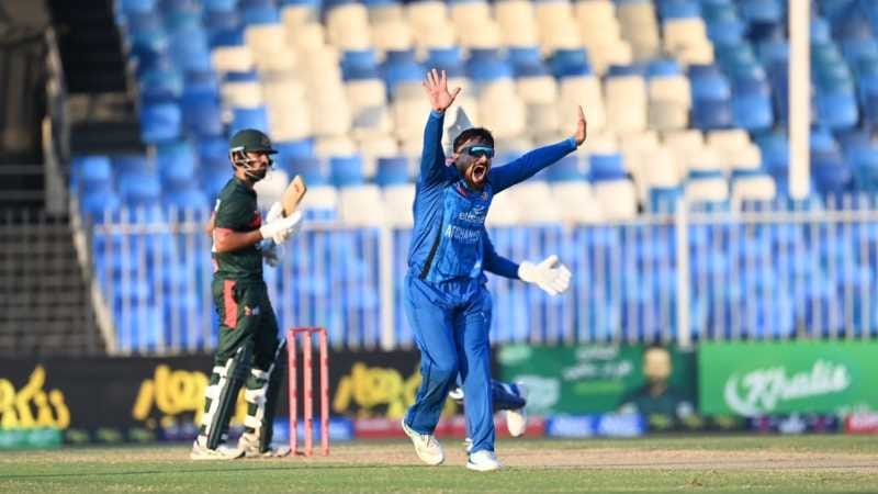 cricket news