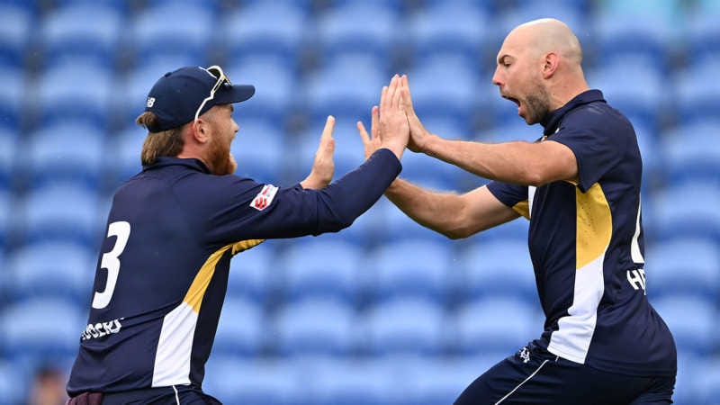 cricket news