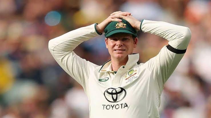 cricket news