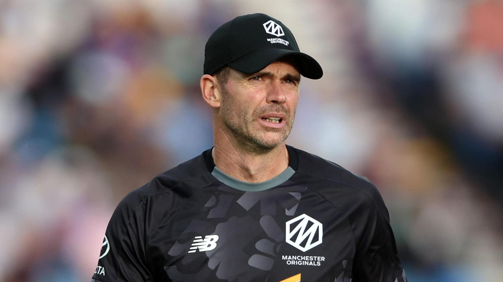 cricket news