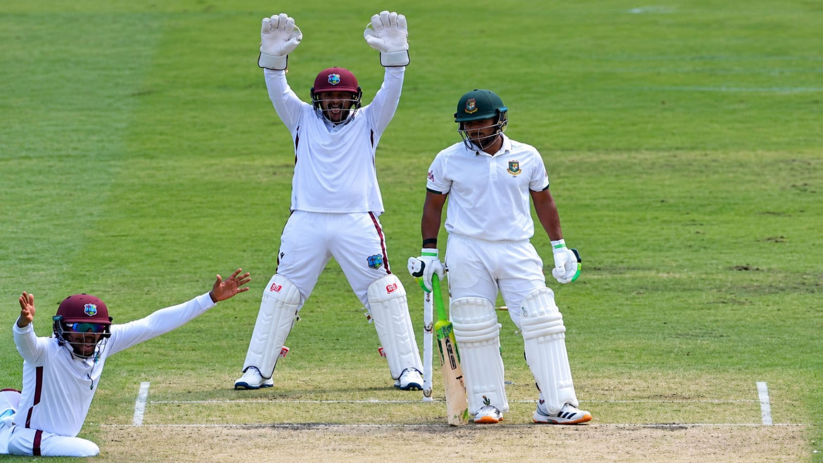 cricket news